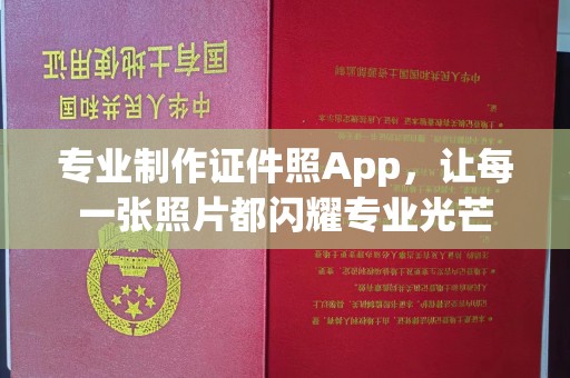 洪洞专业制作证件照App，让每一张照片都闪耀专业光芒