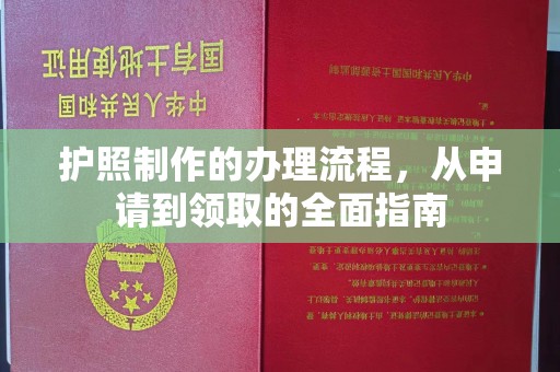 洪洞护照制作的办理流程，从申请到领取的全面指南