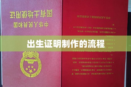洪洞出生证明制作的流程