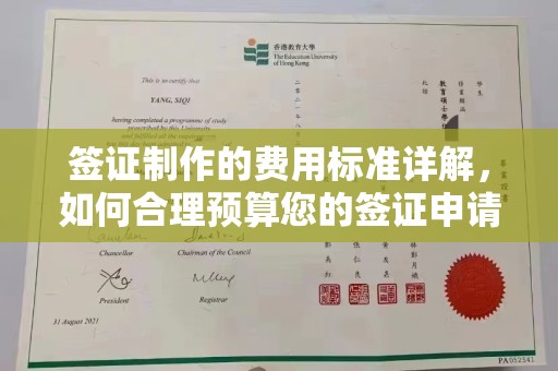 洪洞签证制作的费用标准详解，如何合理预算您的签证申请成本